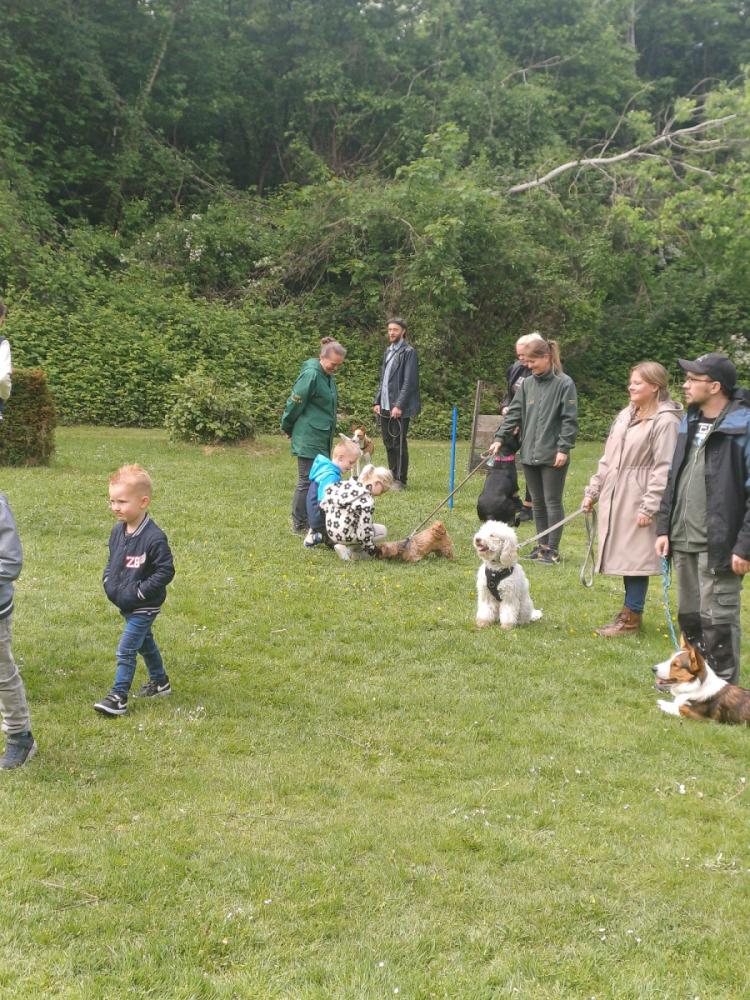IMG-20250504-WA0065
