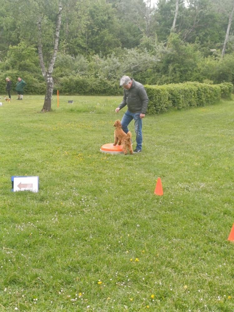 IMG-20250504-WA0112
