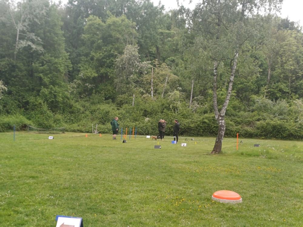 IMG-20250504-WA0116