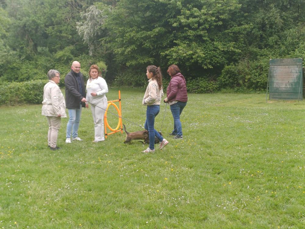 IMG-20250504-WA0120