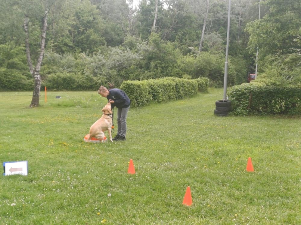 IMG-20250504-WA0128