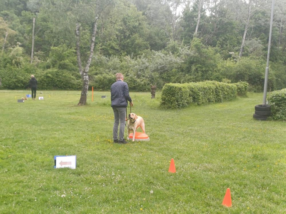 IMG-20250504-WA0129