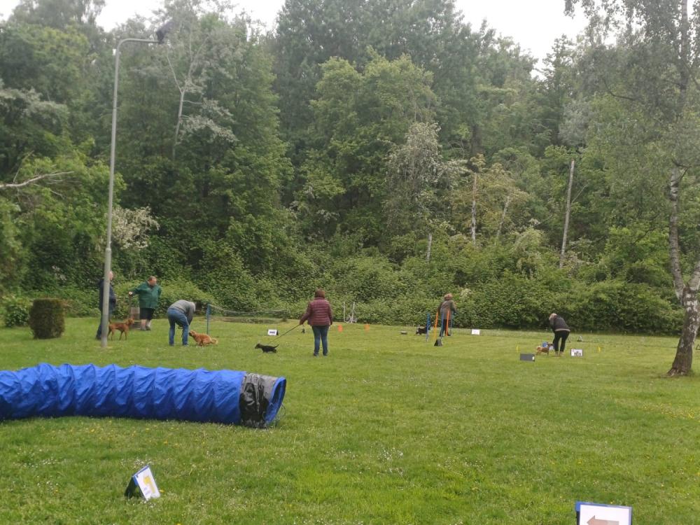 IMG-20250504-WA0130