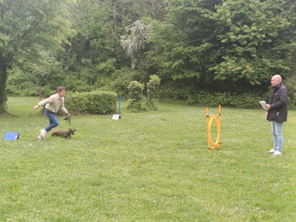 IMG-20250504-WA0132