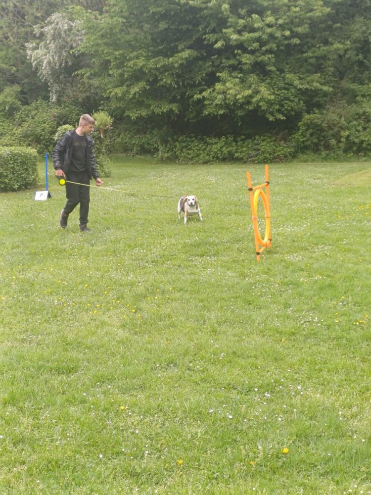IMG-20250504-WA0136