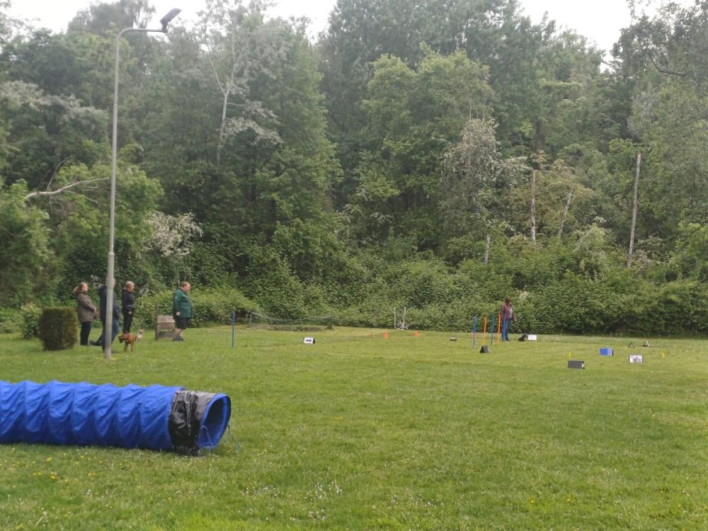 IMG-20250504-WA0141
