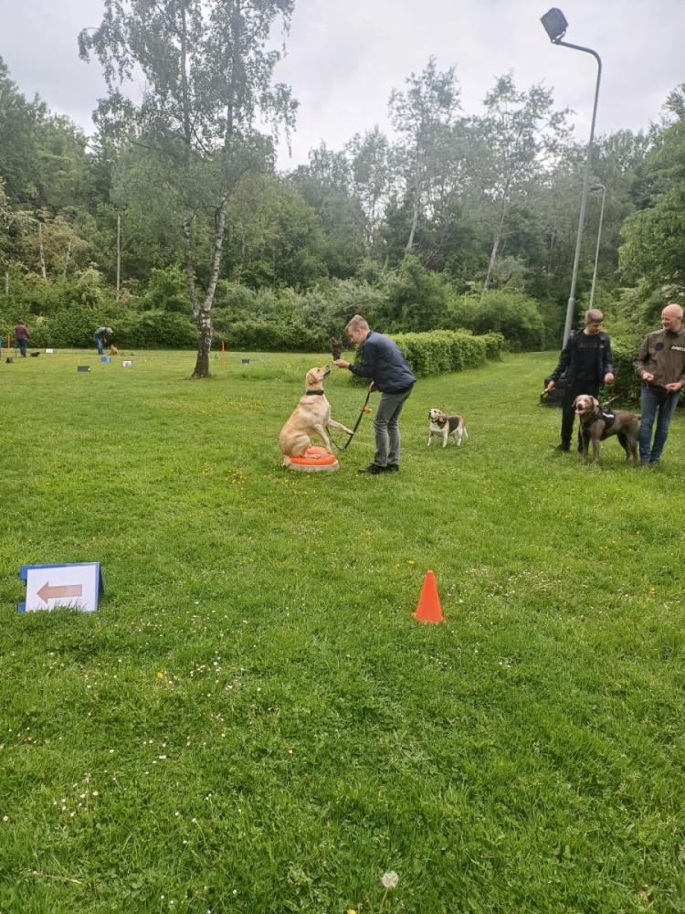 IMG-20250504-WA0143