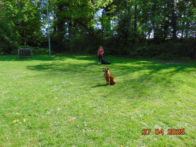 DSC01265