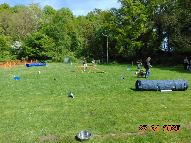 DSC01271
